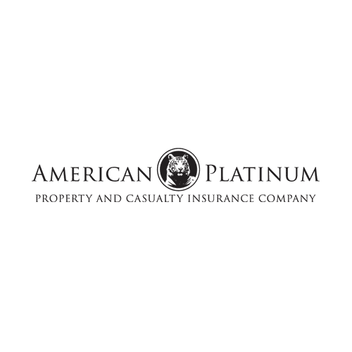 American Platinum